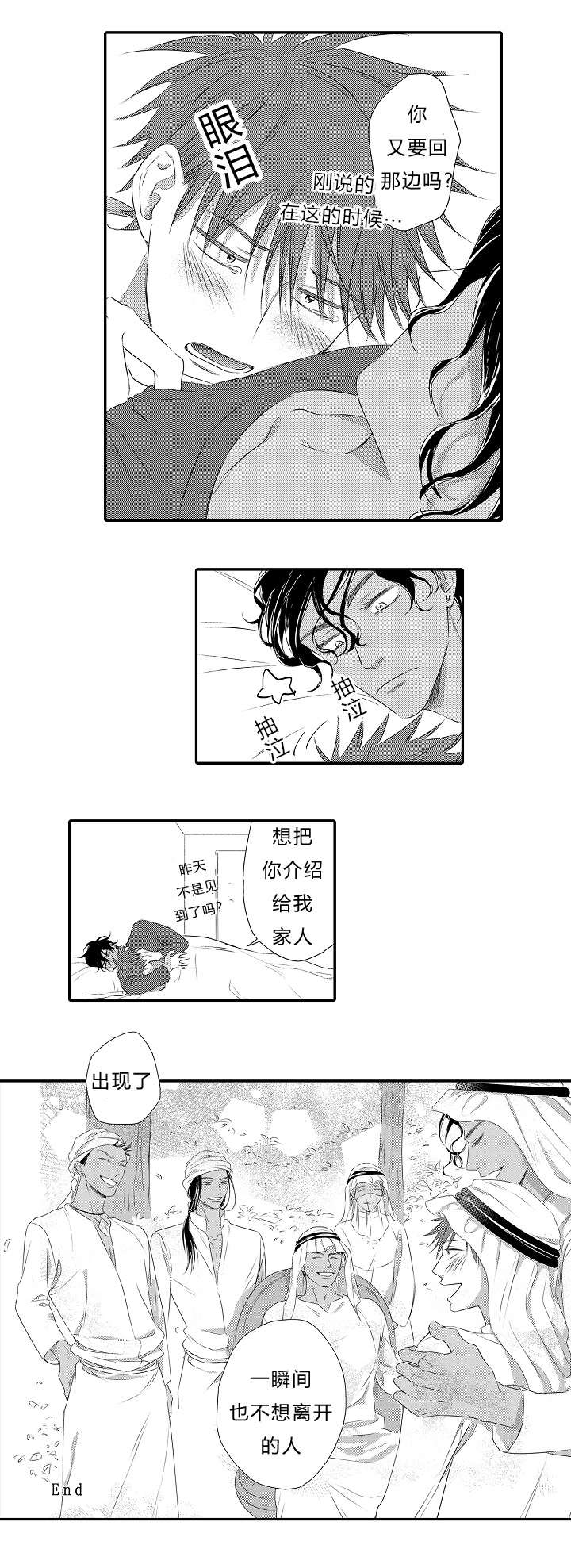 皇家协议漫画,第30章：大结局2图