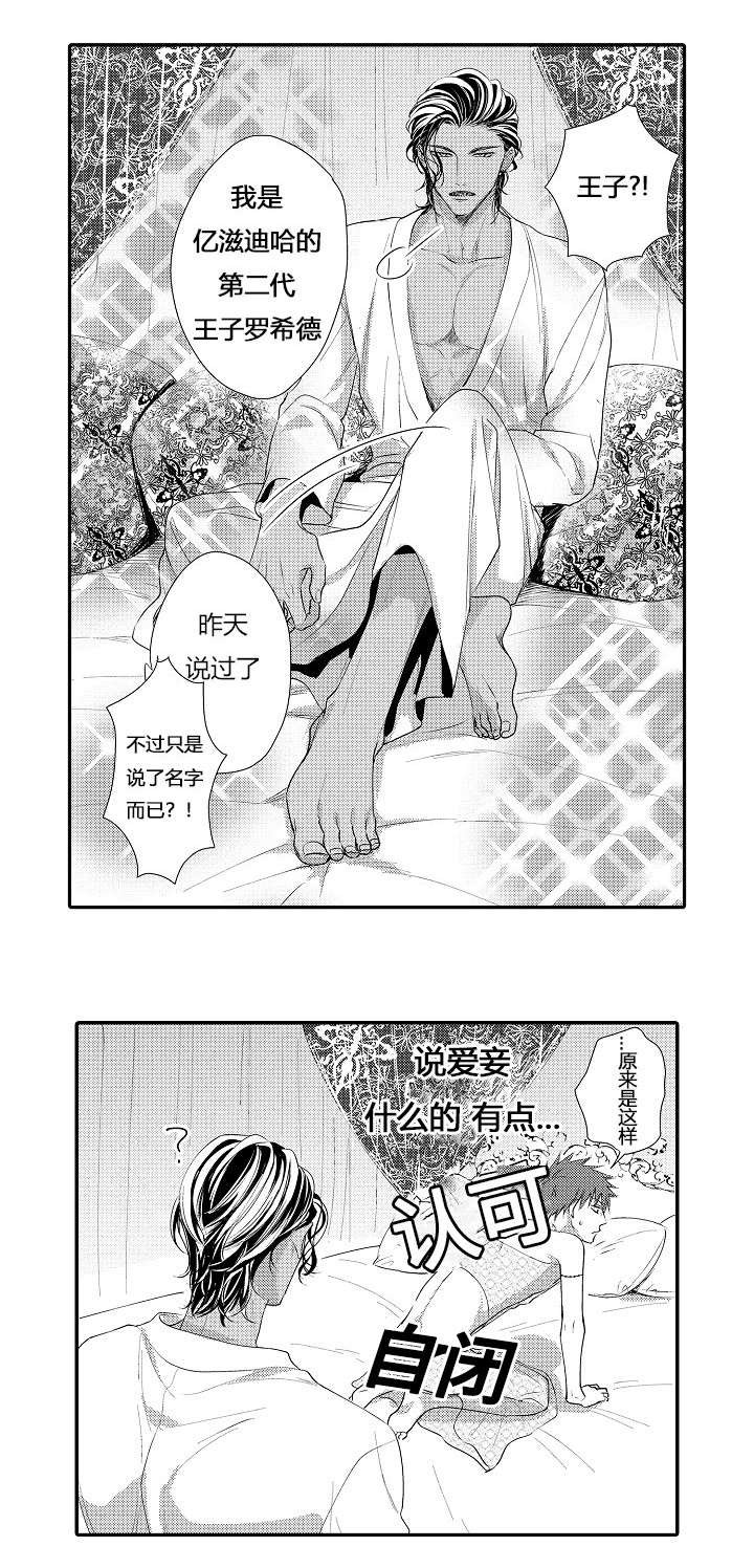 皇家协议漫画,第6章：商定协议3图
