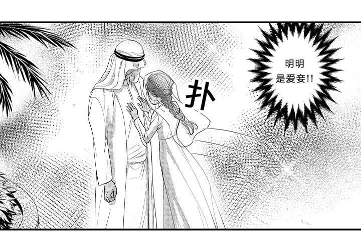 皇家和go漫画,第10章：别的爱妾1图