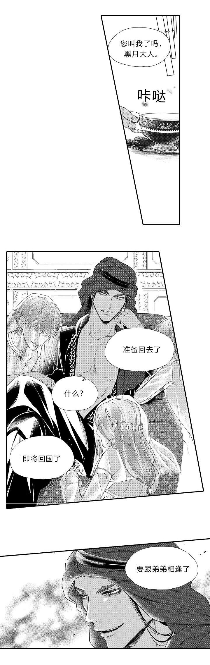 皇家celt漫画,第15章：哥哥回来了1图