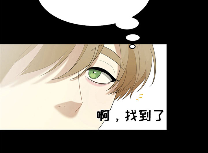 巧合之星漫画,第6章：理想型4图