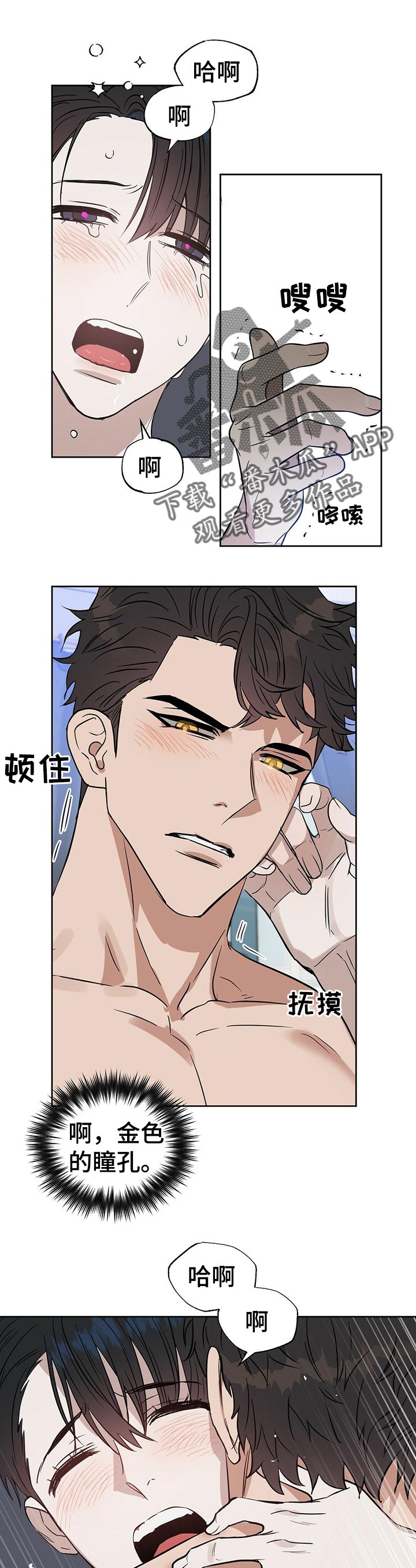 变异信息素漫画,第90章：幸福的早晨1图