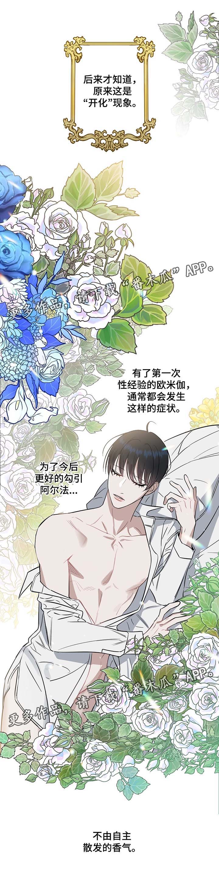 变异信息素漫画,第37章：欧米伽的气味4图