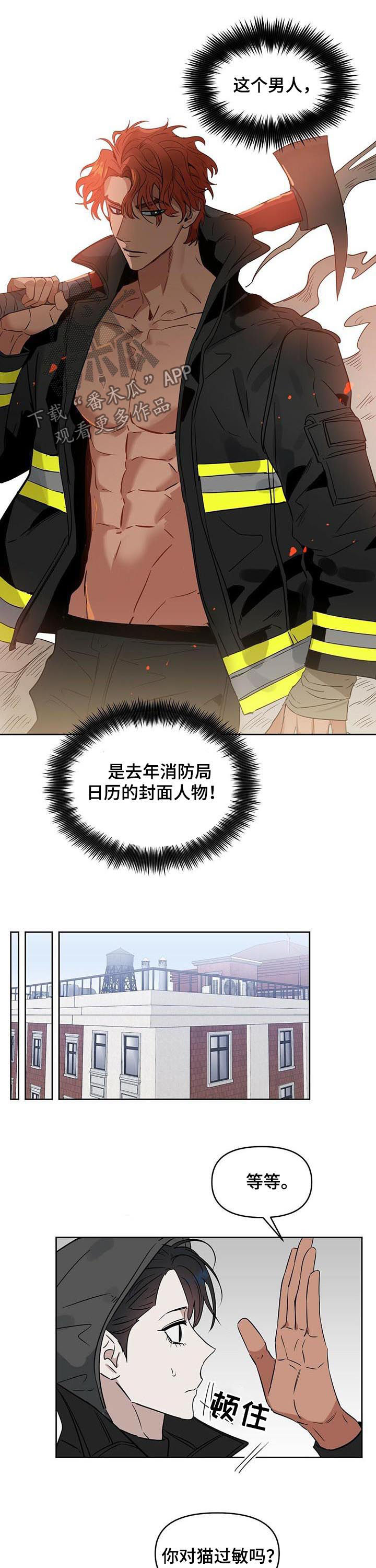 变异信息素漫画,第70章：封面人物1图