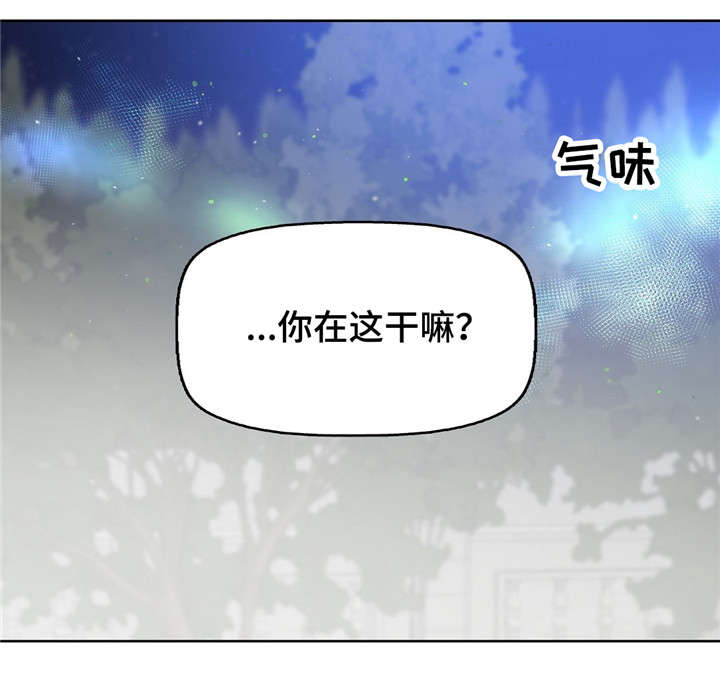 变异信息素漫画,第17章：狗2图