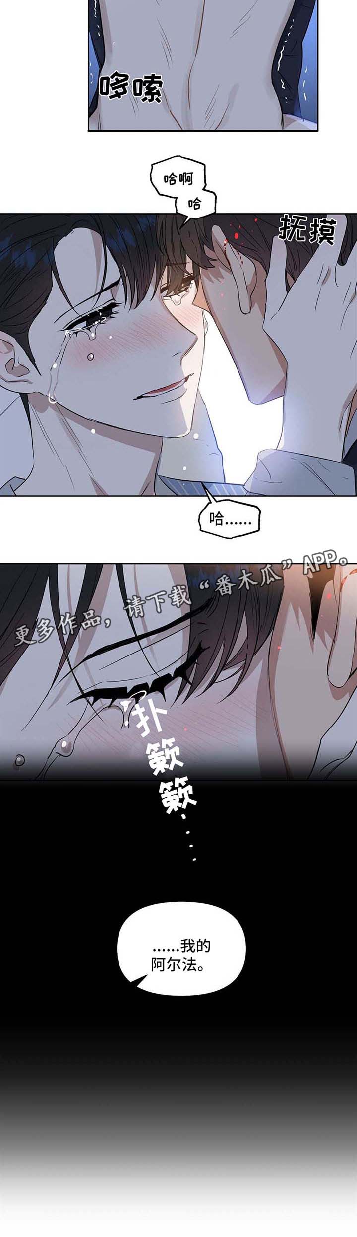 变异信息素漫画,第53章：逃跑计划4图