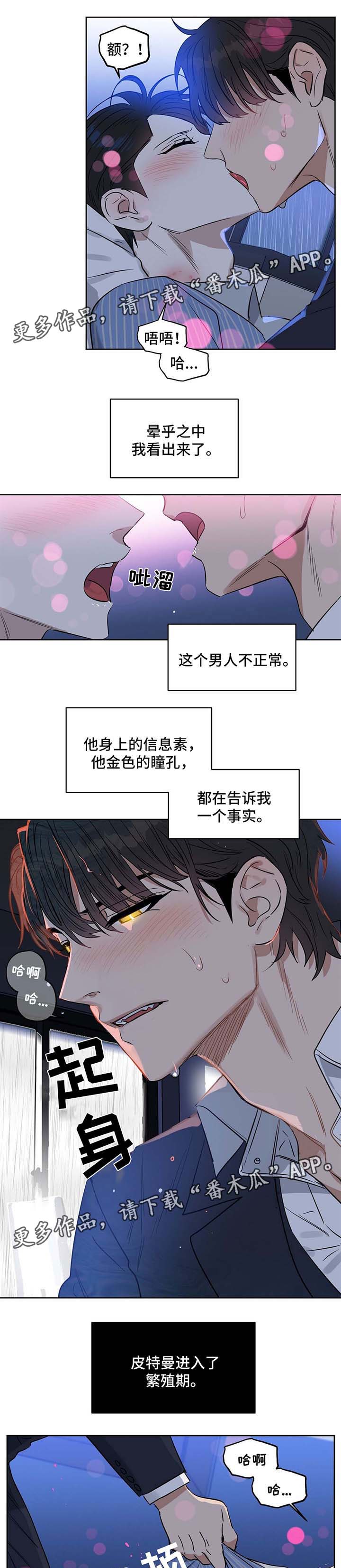 变异信息素漫画,第52章：不正常的反应2图