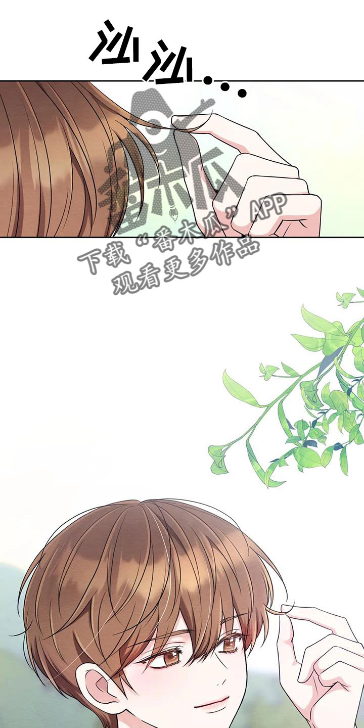 场景体验漫画,第174章：【番外】全新人生4图