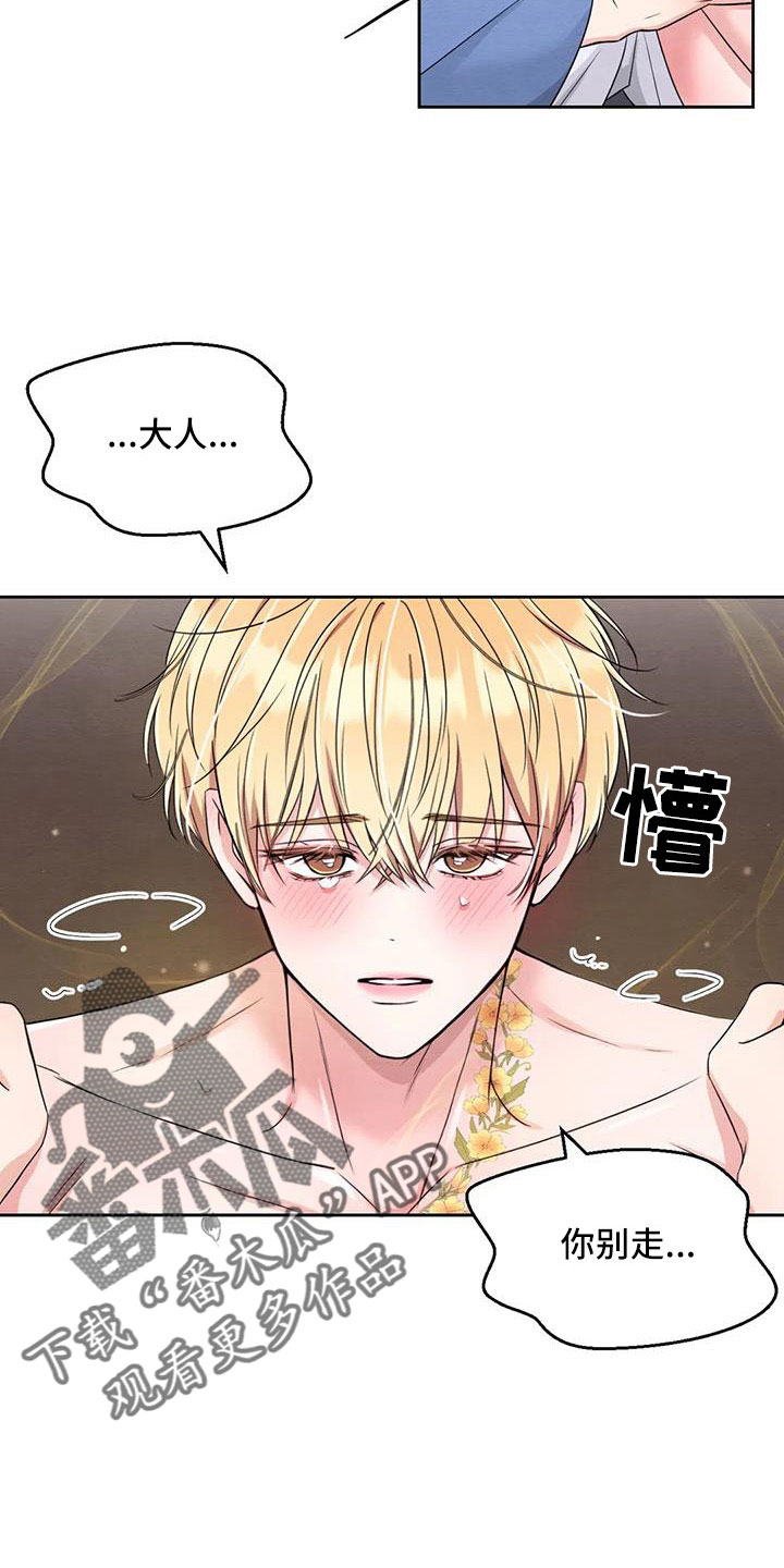 场景体验漫画,第170章：【番外】一石三鸟3图