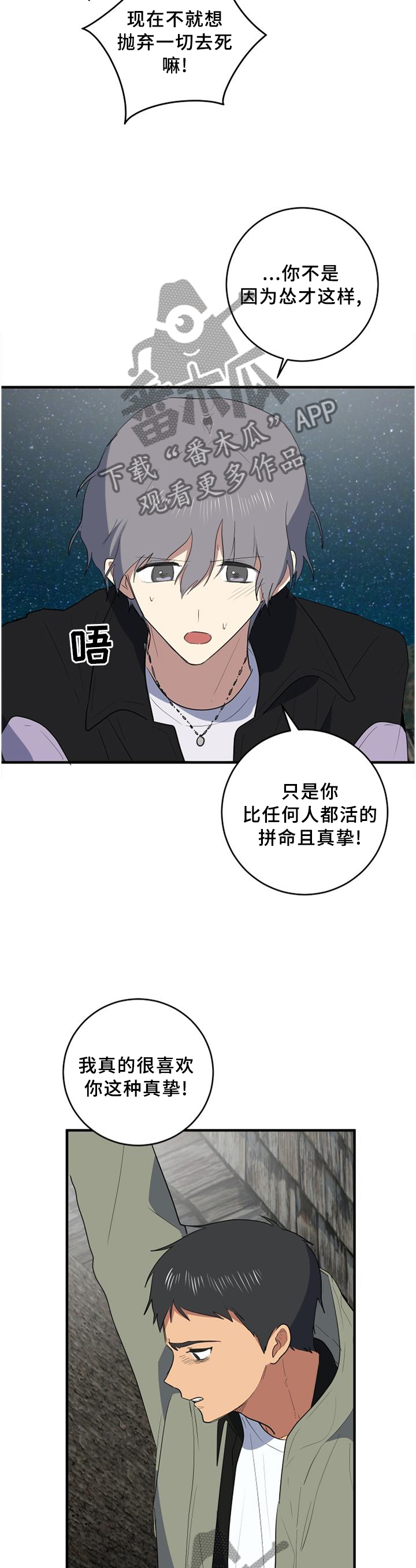 错误的代价漫画,第101章：真挚4图