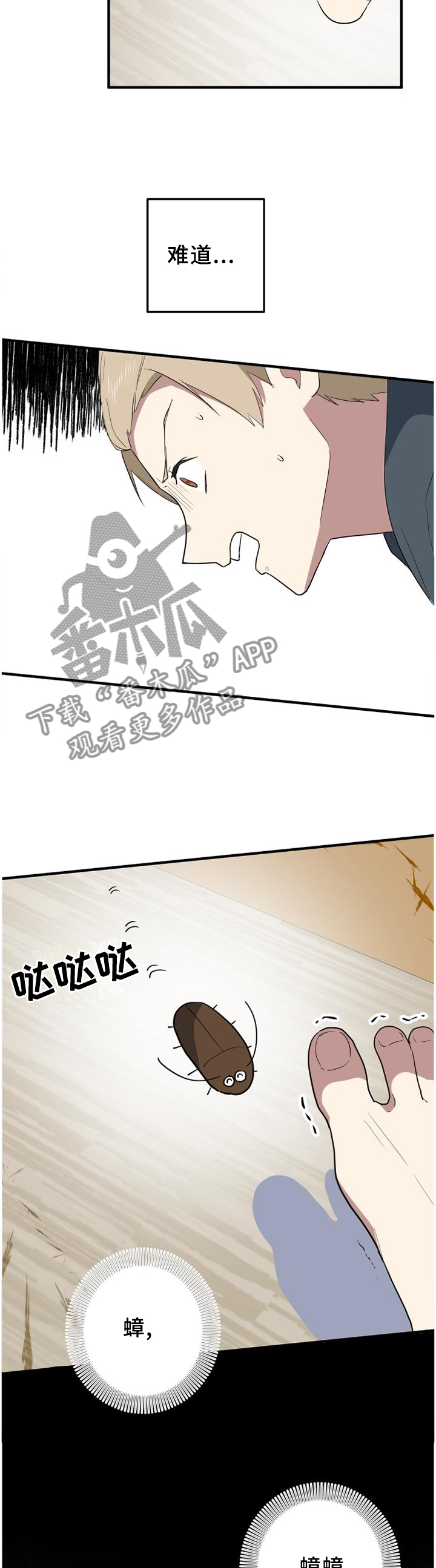错误的代价漫画,第112章：蟑螂杀手3图