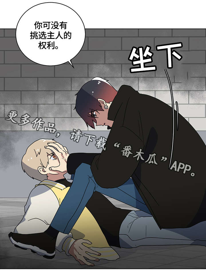 错误的代价漫画,第5章：荒唐事4图