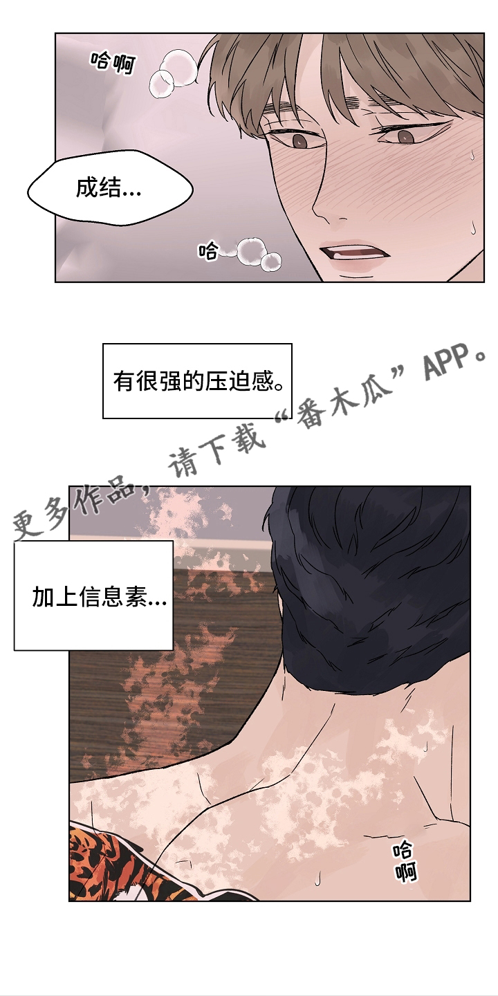 温度与恋爱的关系漫画百度云漫画,第108章：【第二季】到底为什么1图