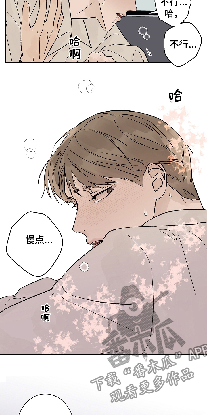 温度与恋爱的关系漫画百度云漫画,第94章：【第二季】多得是机会1图