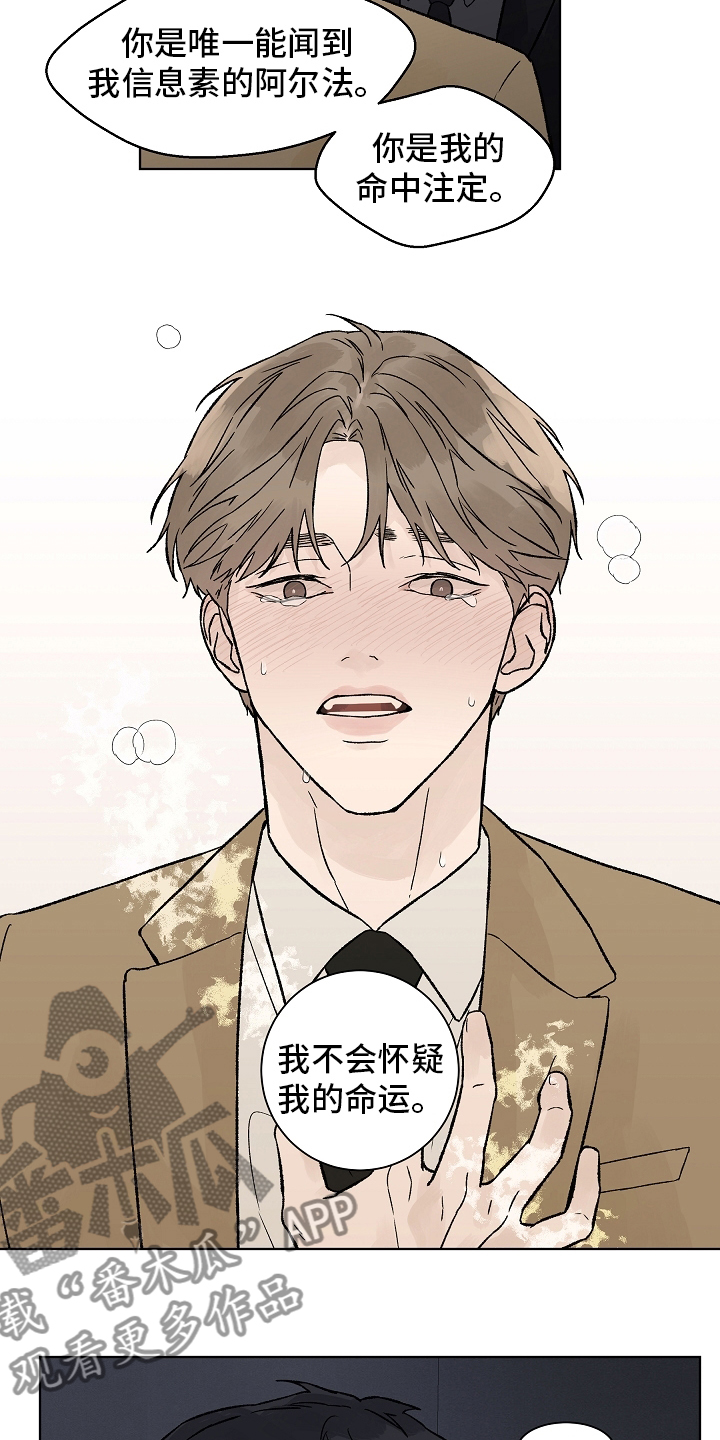 温度与爱漫画,第93章：【第二季】命中注定1图