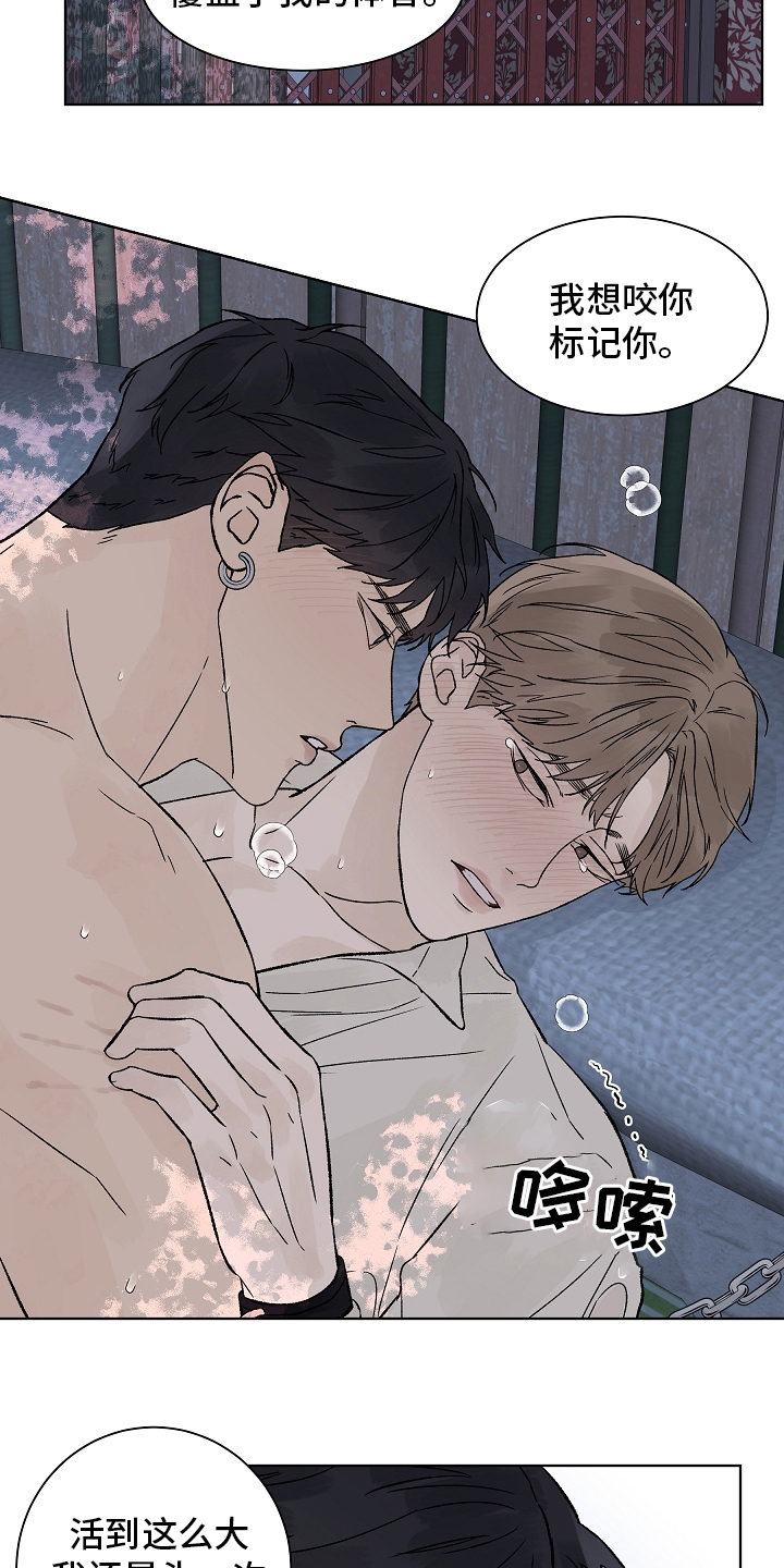 温度与爱漫画,第98章：【第二季】命运3图