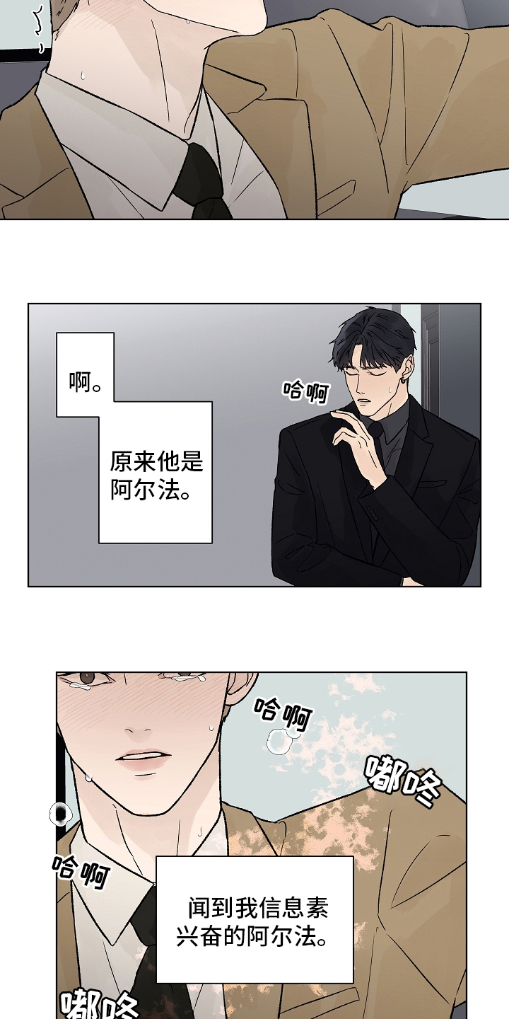 温度与爱漫画,第93章：【第二季】命中注定4图