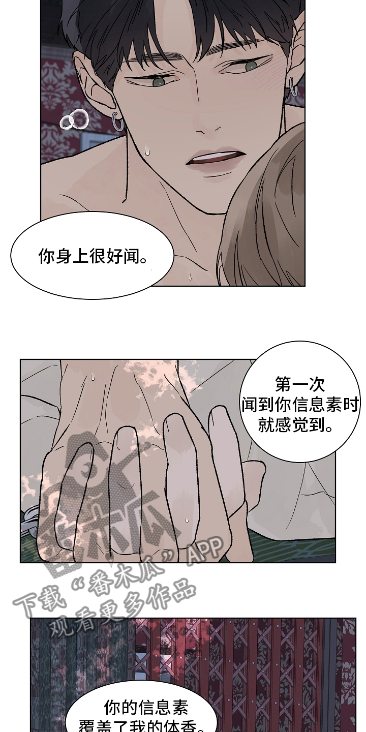 温度与爱漫画,第98章：【第二季】命运2图
