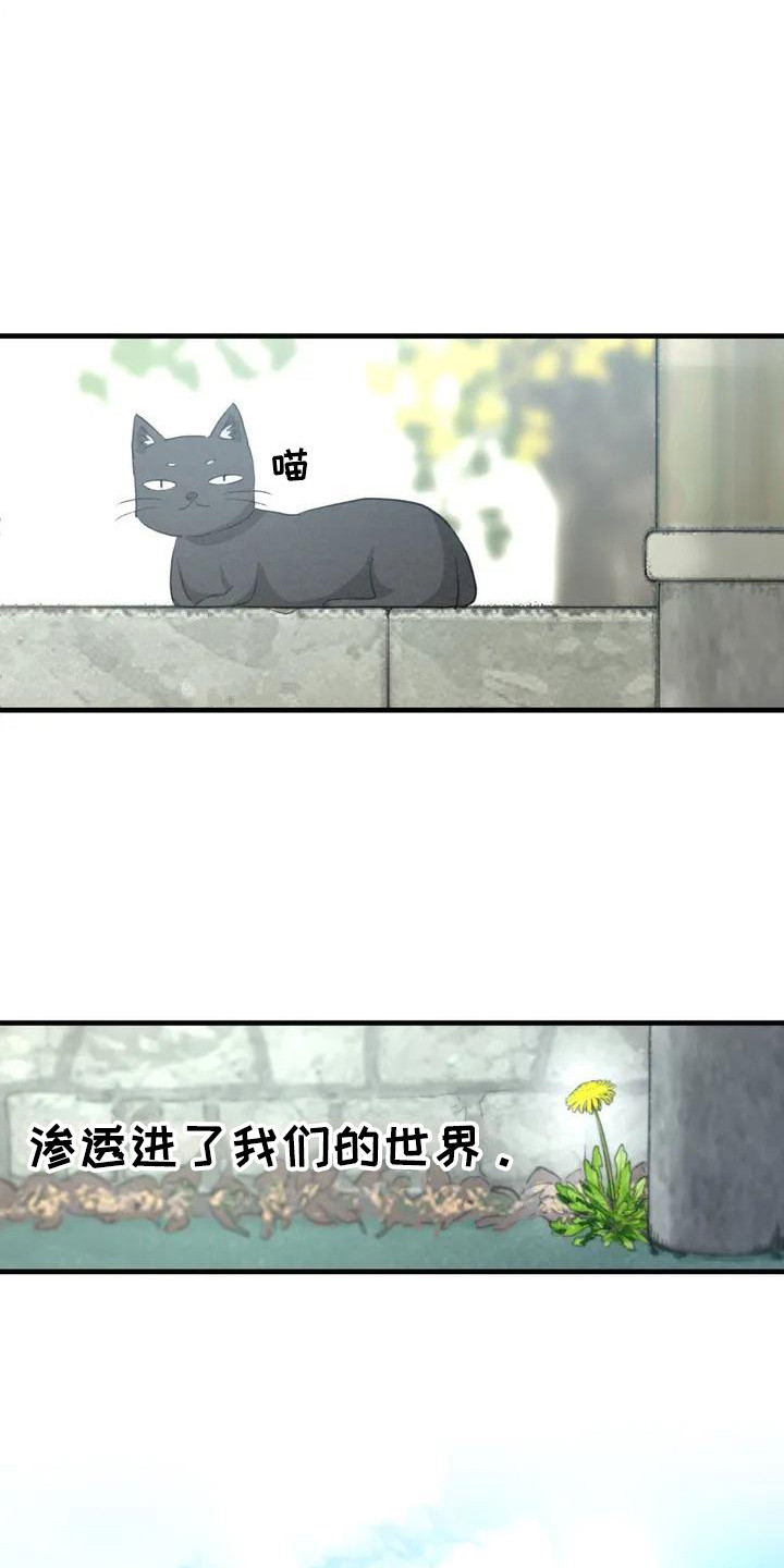 狐狸的夏天第一季漫画,第2章：普通的一天4图