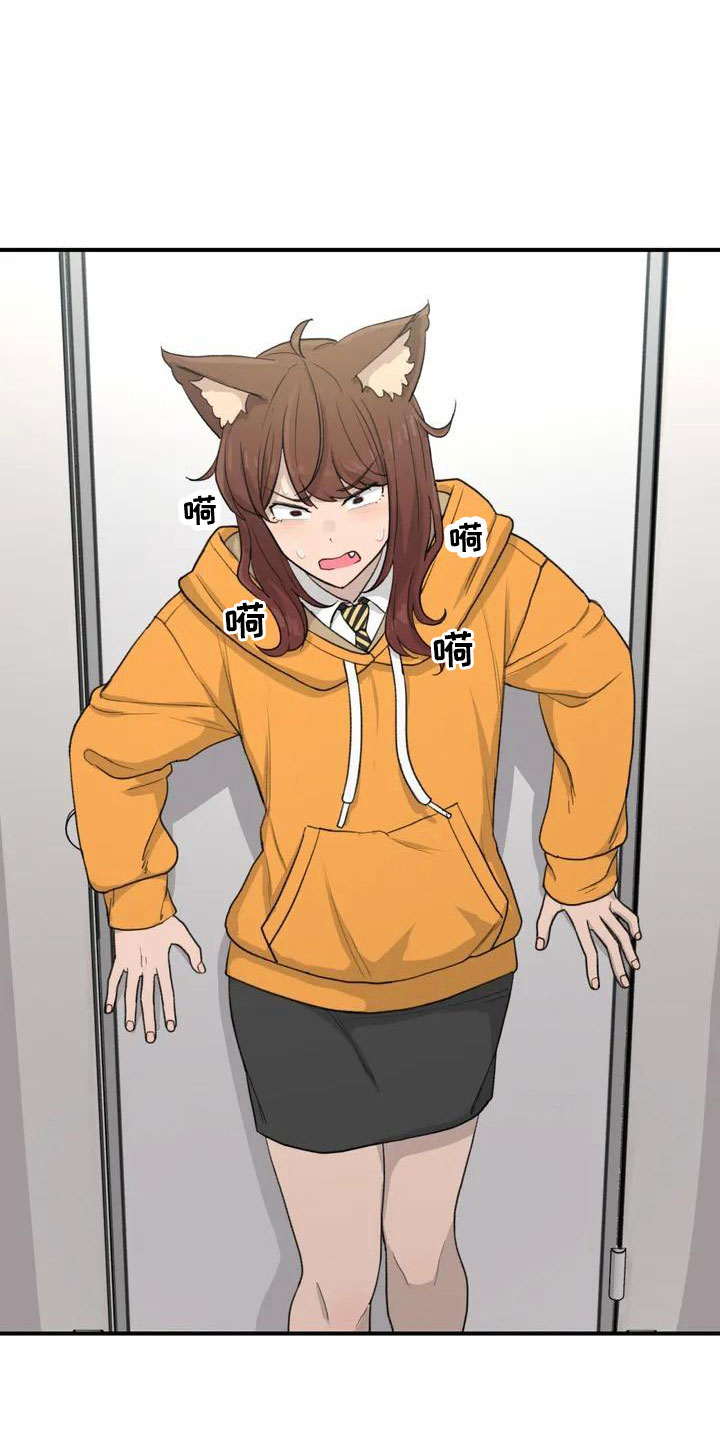 狐狸珠子的视频漫画,第54章： 突发情况4图