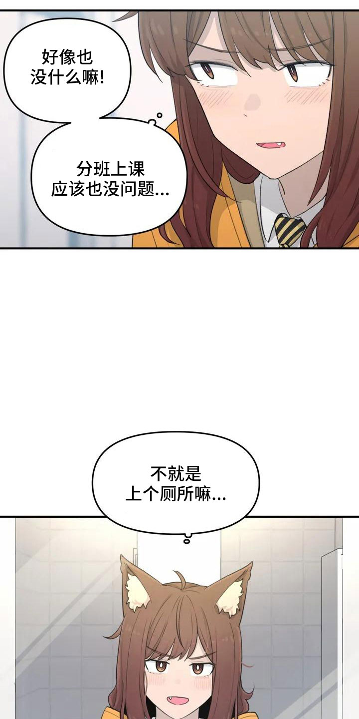 狐狸珠子的视频漫画,第54章： 突发情况2图