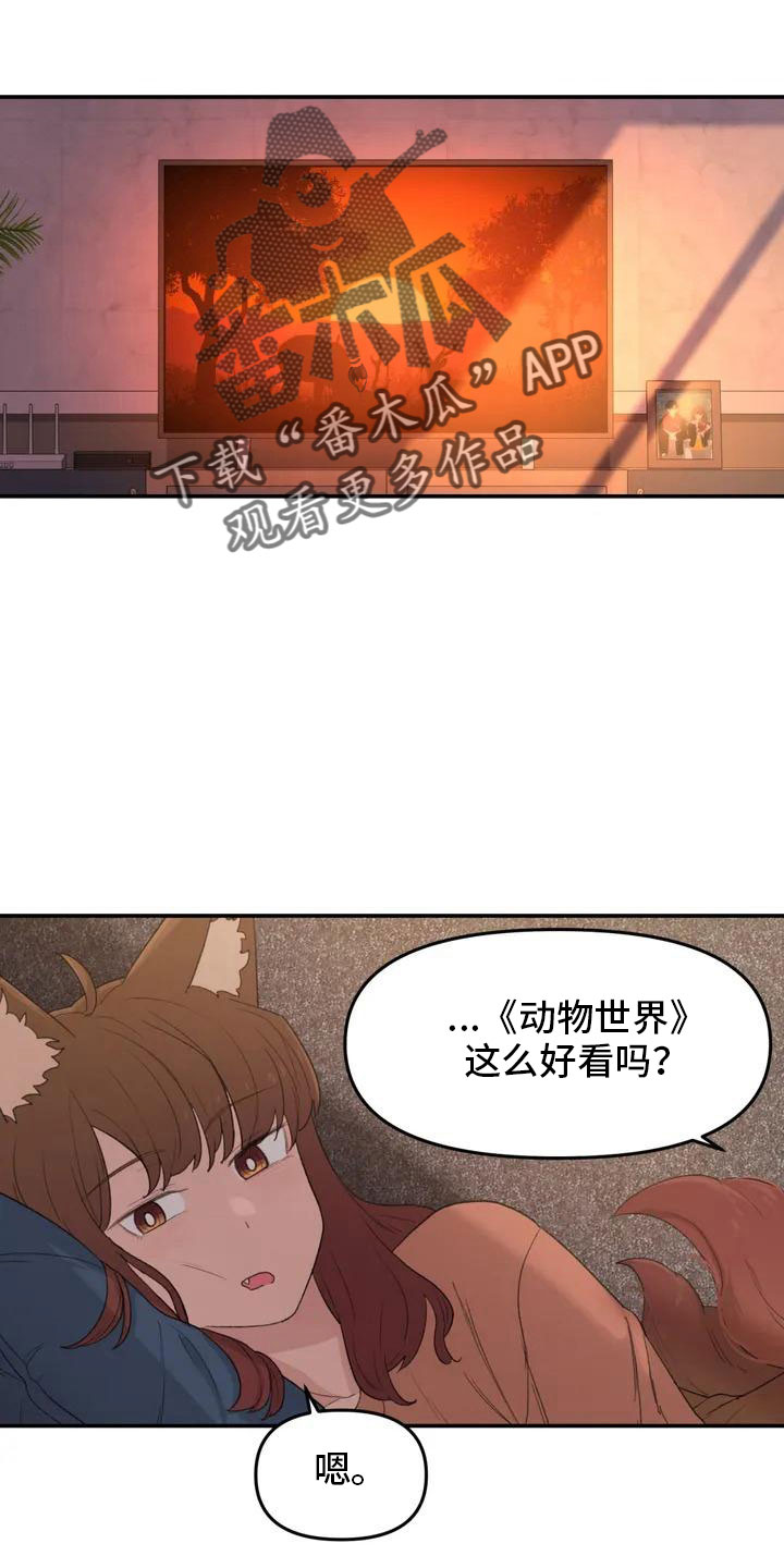 狐狸与我漫画,第52章：藏不起来3图