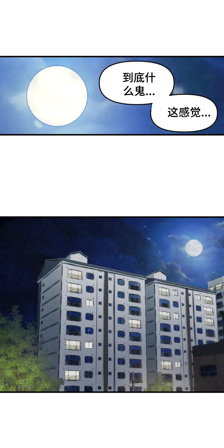 女孩救了狐狸拿了千年灵珠的电影漫画,第8章：秘密1图