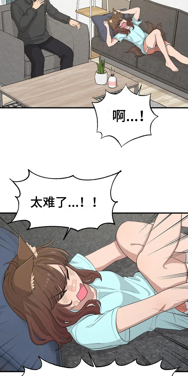狐狸犬漫画,第35章：需要变化3图