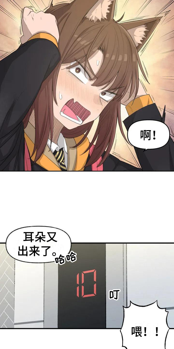 狐狸和公鸡的故事漫画,第31章：新的开始2图