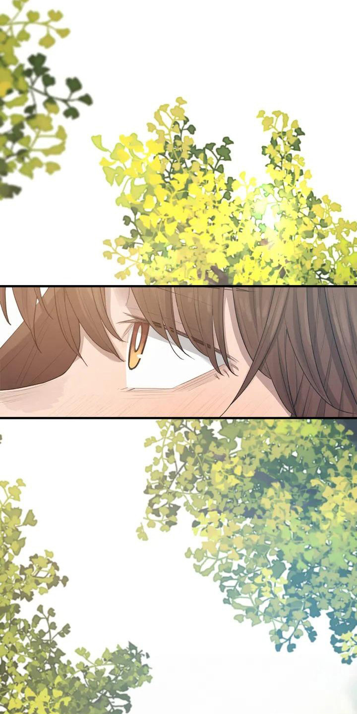 狐狸珠是什么漫画,第24章：奔跑5图