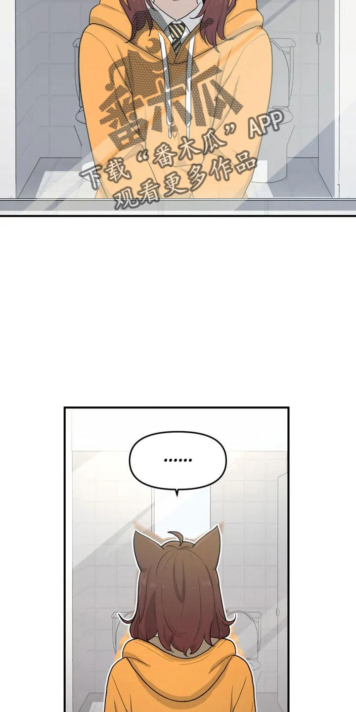 狐狸珠子的视频漫画,第54章： 突发情况3图