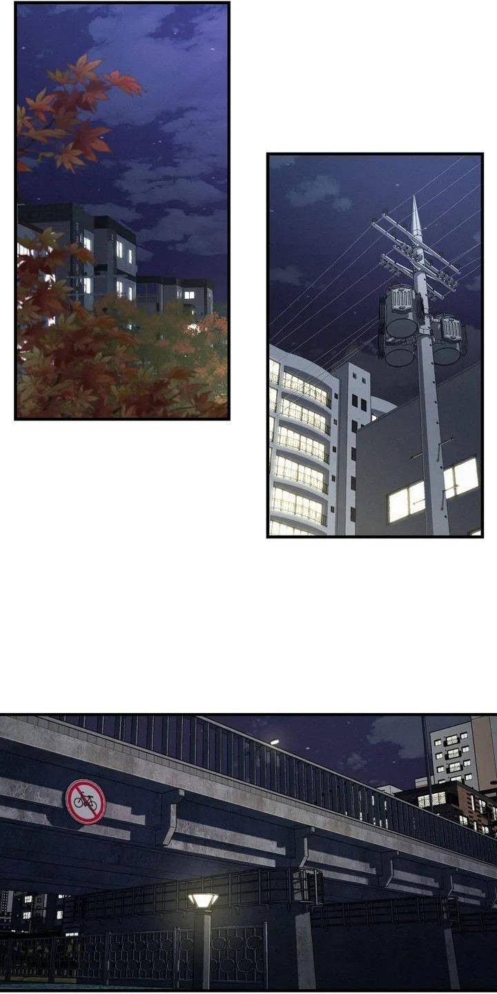 女孩救了狐狸拿了千年灵珠的电影漫画,第12章：表白1图