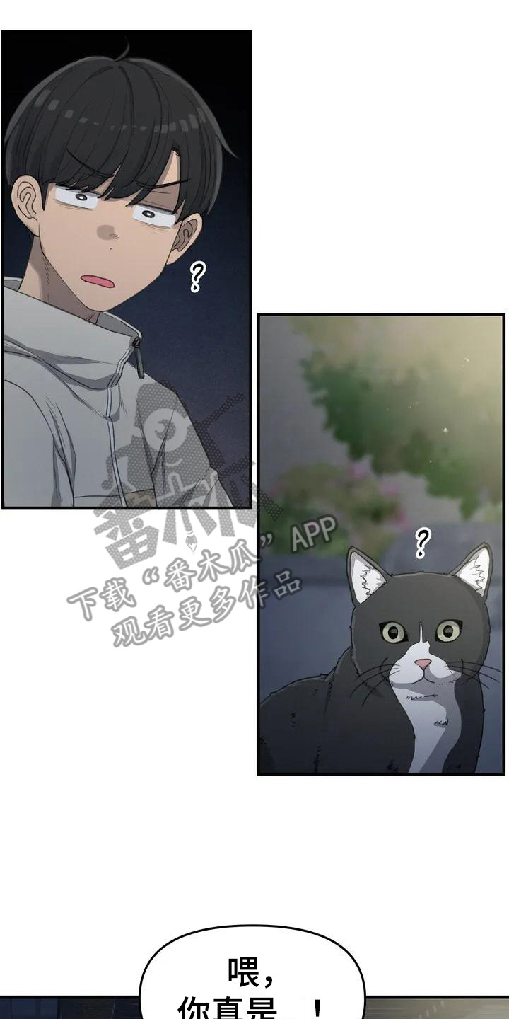 狐狸的夏天第一季漫画,第30章：牵手2图