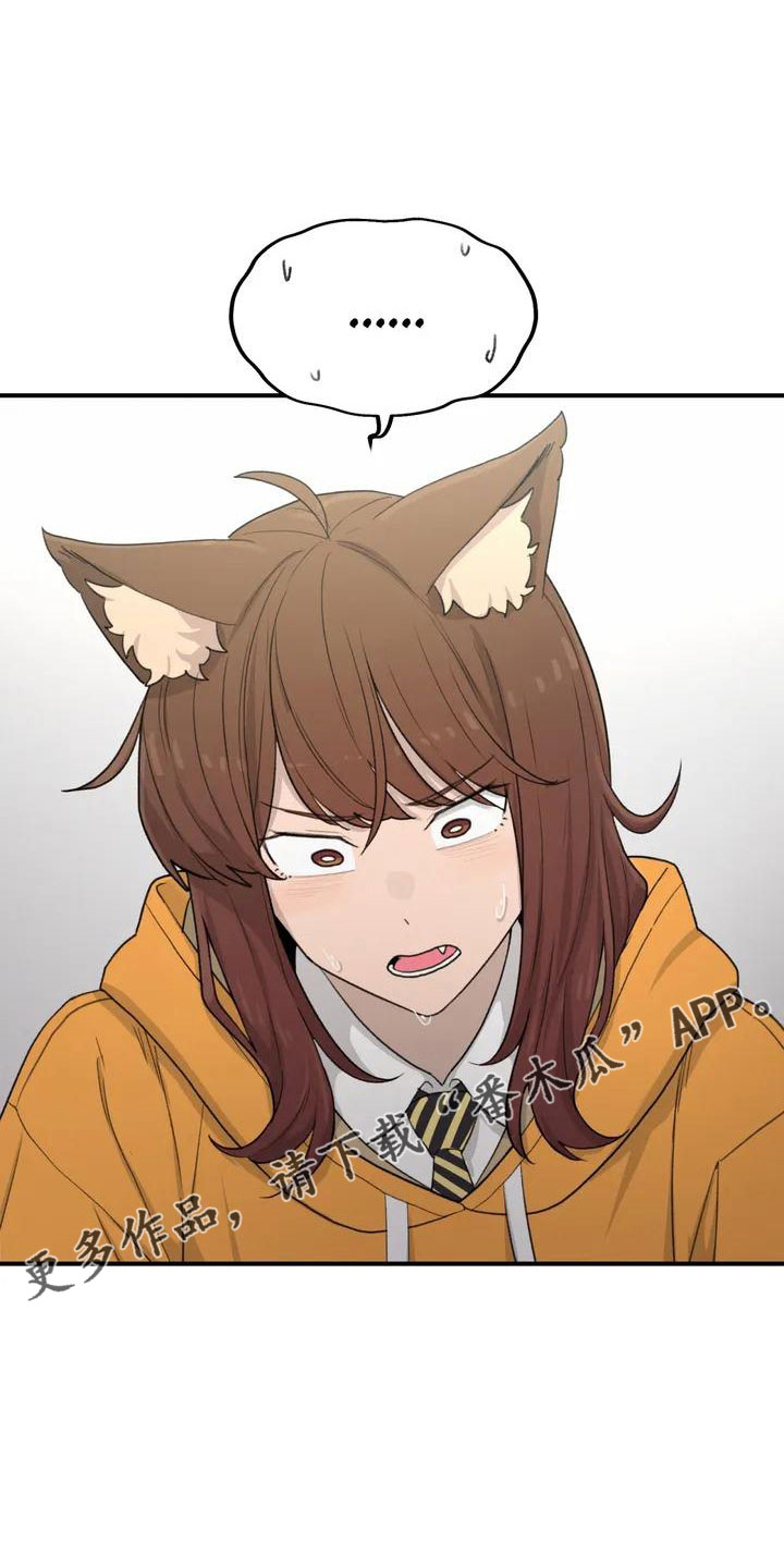 狐狸珠子的视频漫画,第54章： 突发情况5图