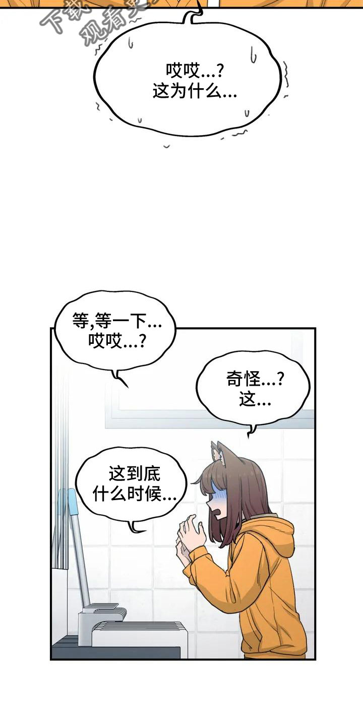 狐狸珠子的视频漫画,第54章： 突发情况5图