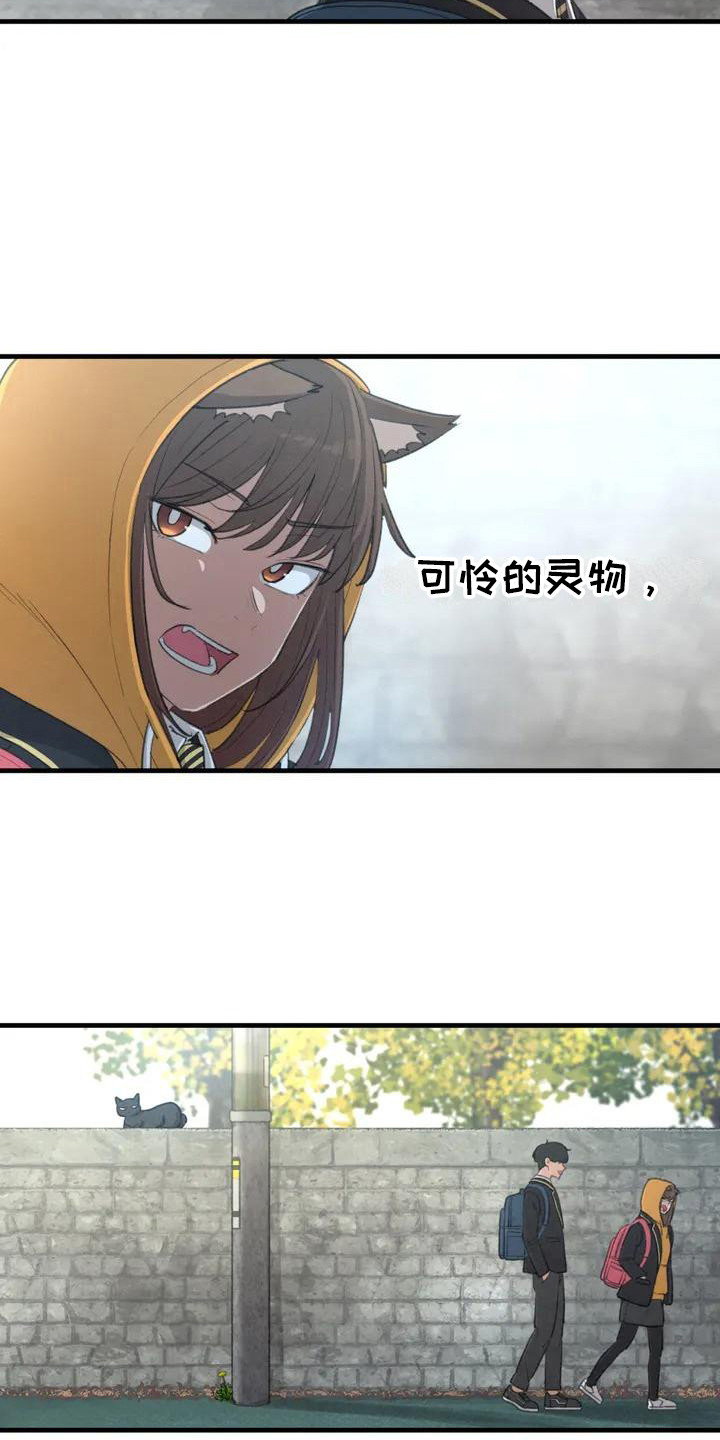 狐狸的夏天第一季漫画,第2章：普通的一天3图