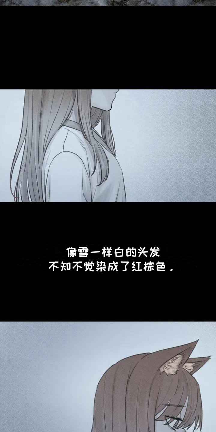 狐狸灵宠取名漫画,第6章：枫叶一样5图