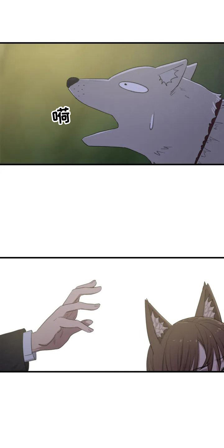 狐狸灵珠漫画免费阅读漫画,第3章：汪汪叫4图