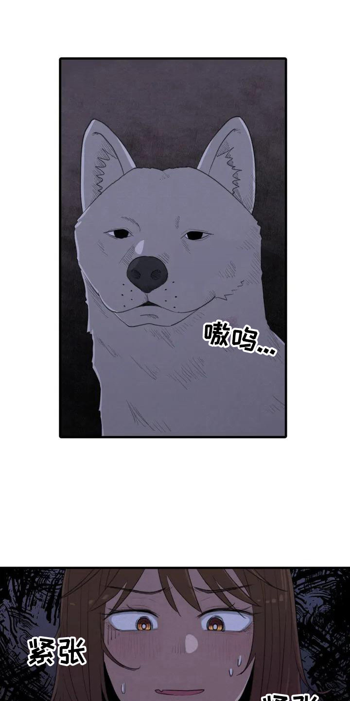 狐狸灵珠漫画免费阅读漫画,第3章：汪汪叫1图
