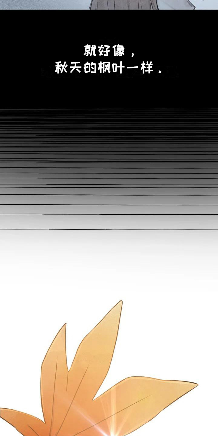 美女误拿狐妖灵珠救了一只狐狸漫画,第6章：枫叶一样1图