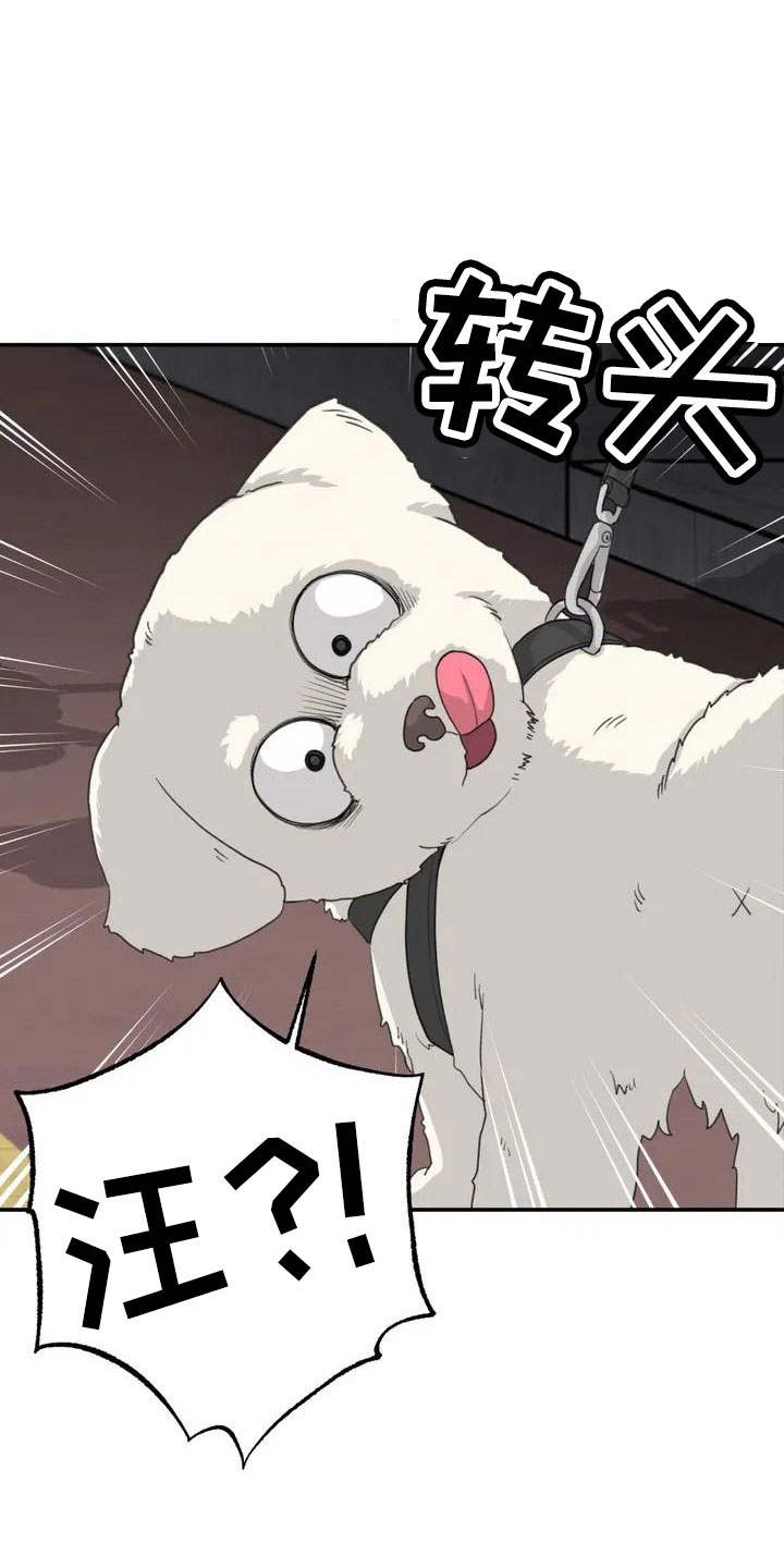 狐狸的夏天第二季漫画,第62章：别慌张3图