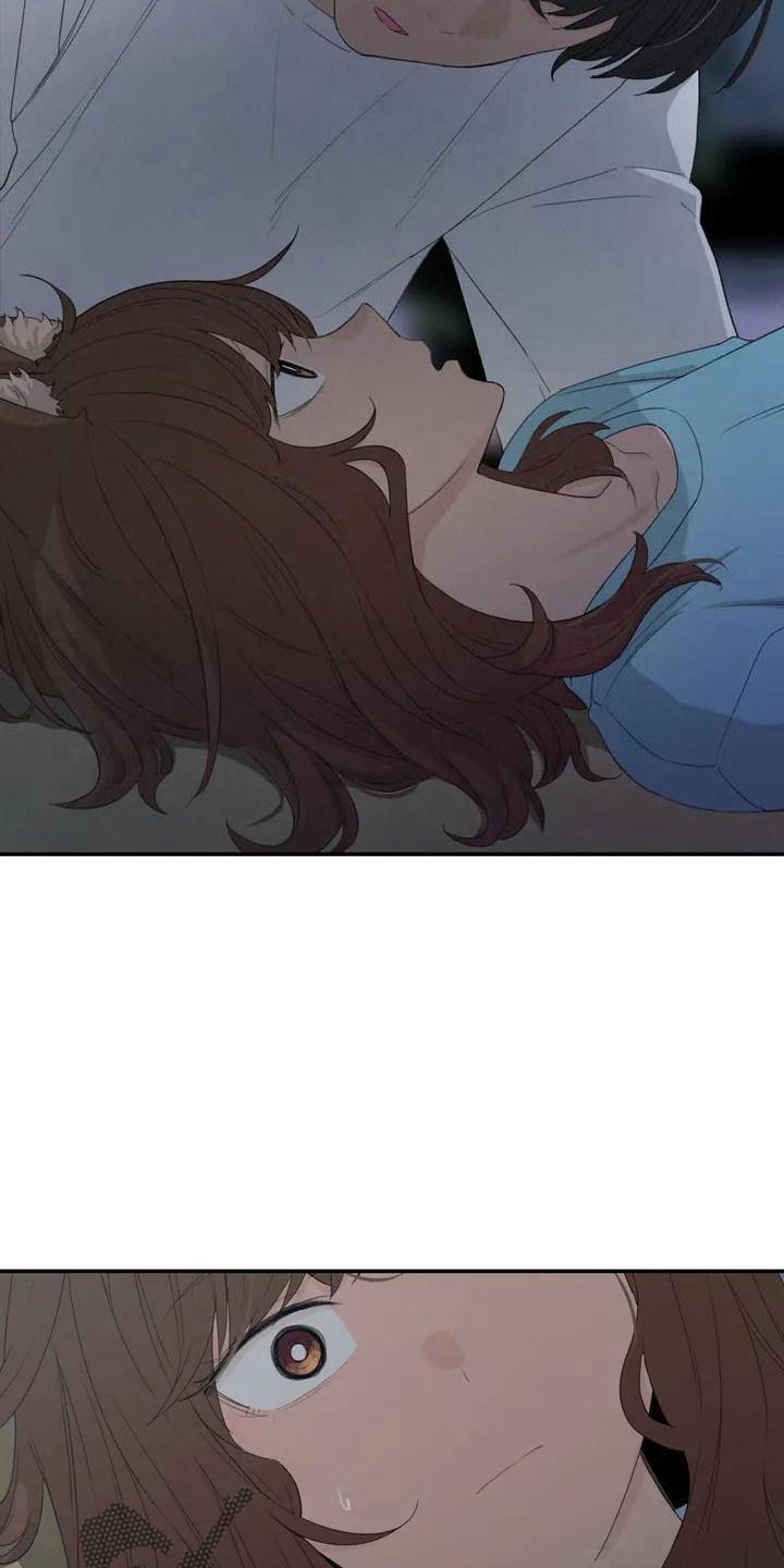 狐狸灵珠漫画免费阅读漫画,第45章：好奇1图