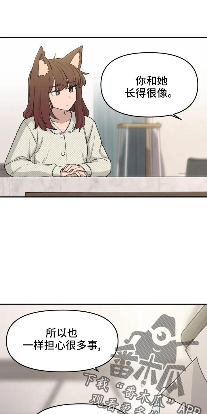 狐狸珠怎么取出来漫画,第50章：长尾巴5图