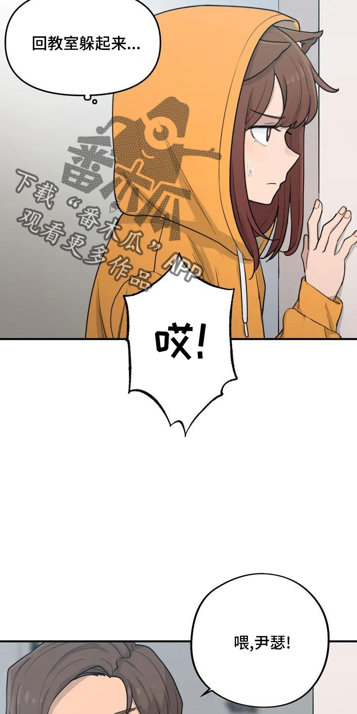 狐狸灵果漫画,第55章：搞砸了吧2图