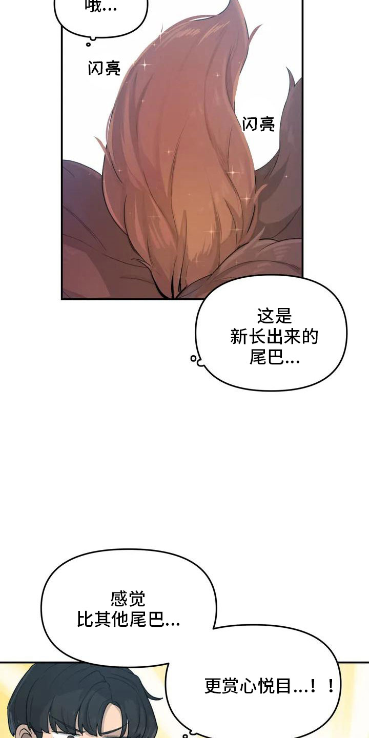 狐狸灵珠漫画免费阅读漫画,第52章：藏不起来3图