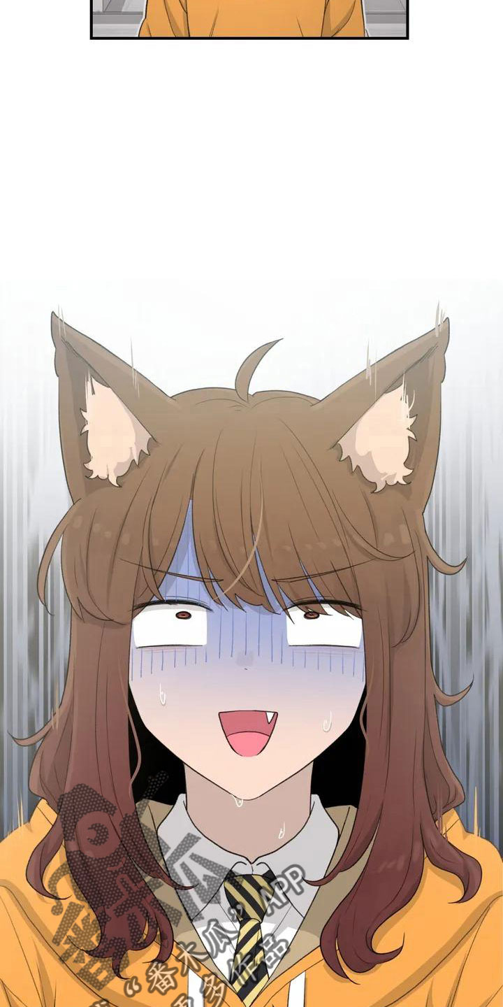 狐狸珠子的视频漫画,第54章： 突发情况4图