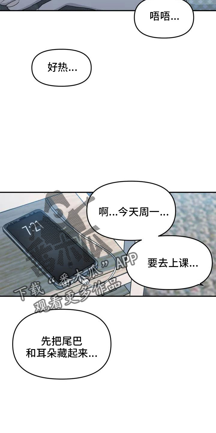 狐狸珠子的视频漫画,第52章：藏不起来2图