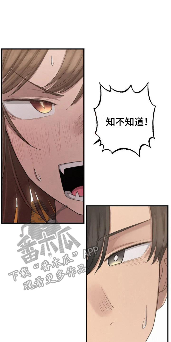 女孩救了狐狸拿了千年灵珠的电影漫画,第16章：鼓起勇气3图