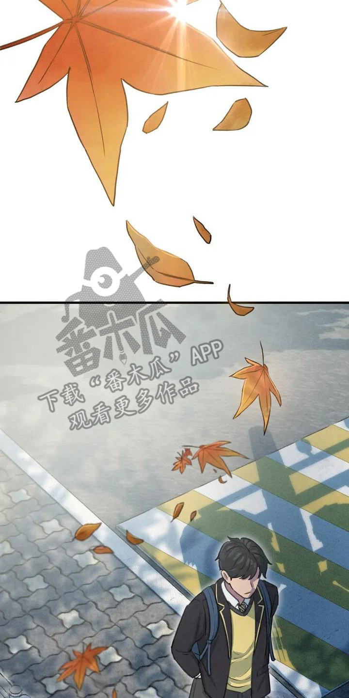 美女误拿狐妖灵珠救了一只狐狸漫画,第6章：枫叶一样2图