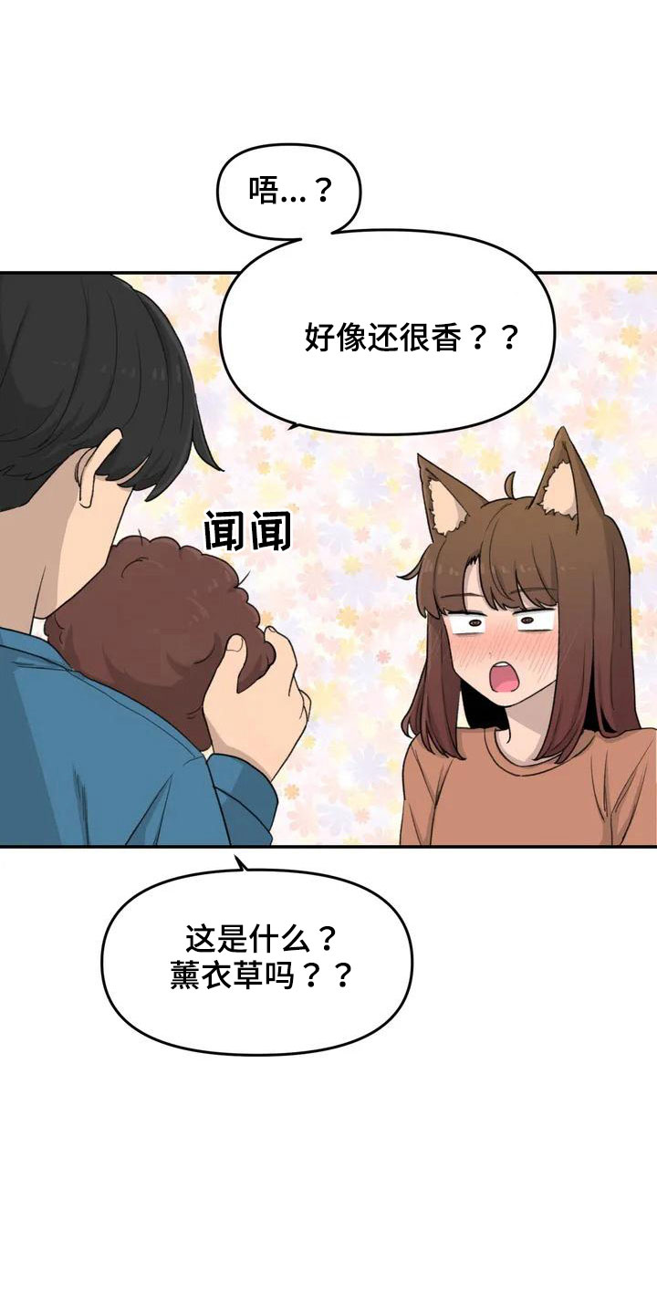 狐狸的灵珠漫画,第51章：还很香4图